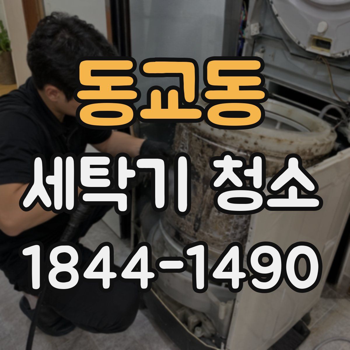동교동 세탁기 청소
