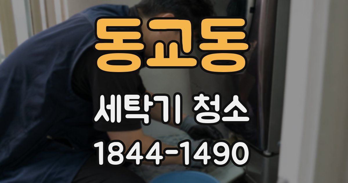 동교동 세탁기 청소