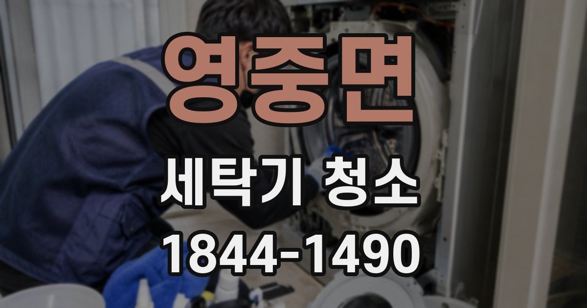 영중면 세탁기 청소