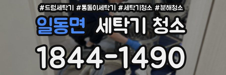 일동면 세탁기 청소