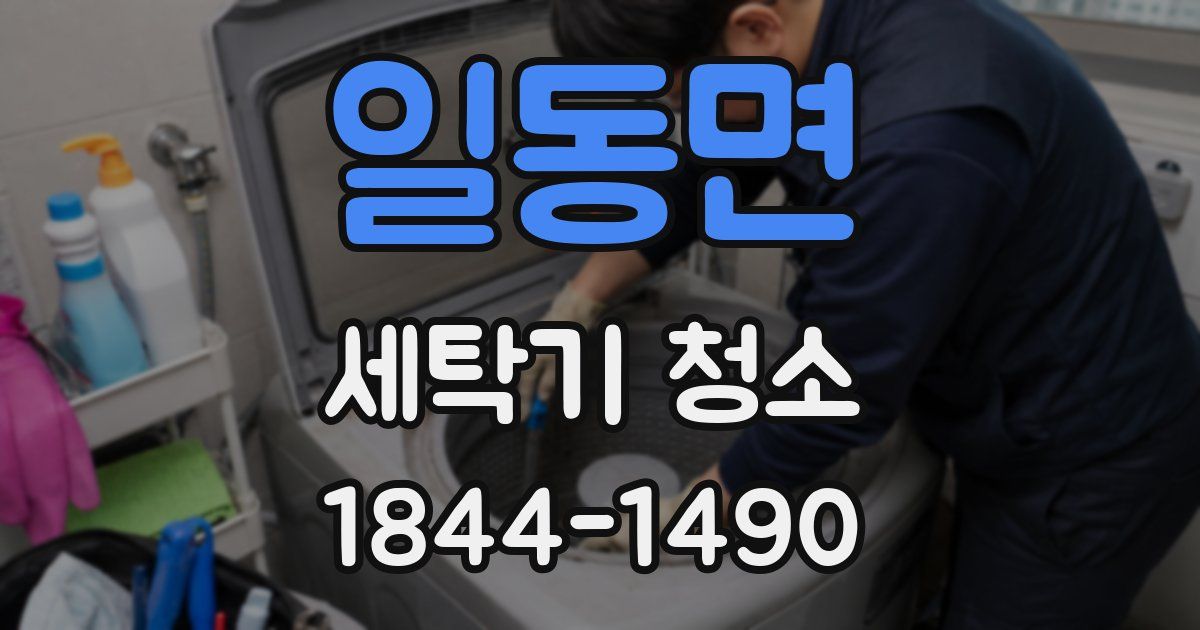 일동면 세탁기 청소