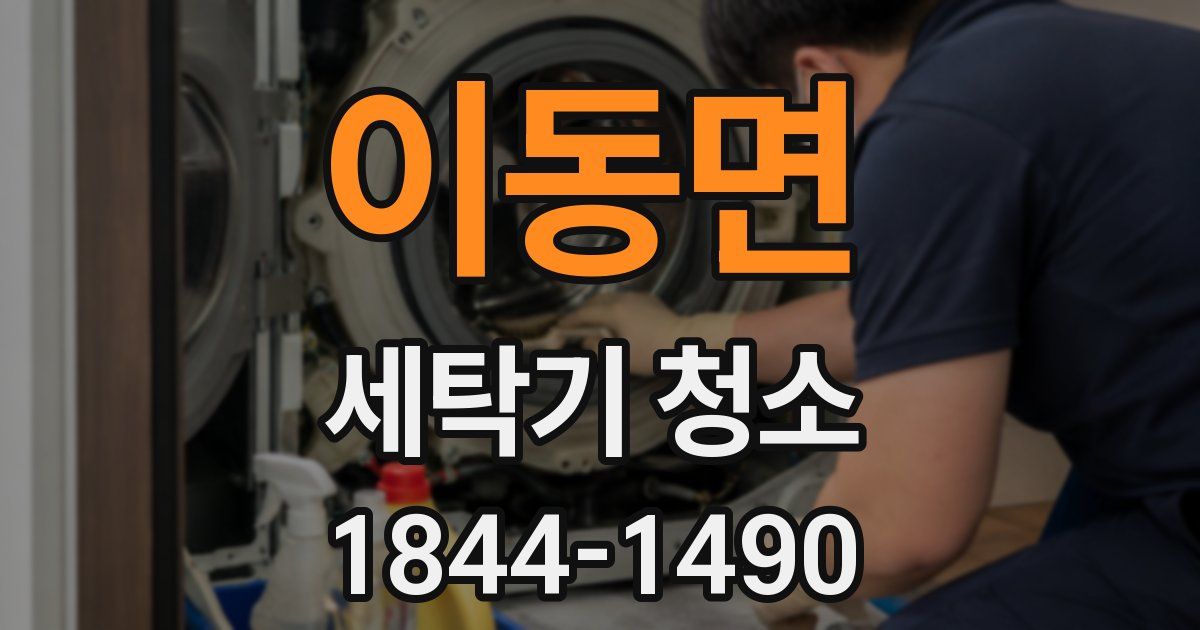이동면 세탁기 청소