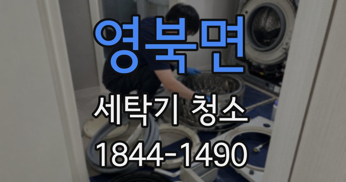 영북면 세탁기 청소