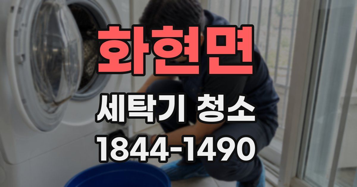 화현면 세탁기 청소