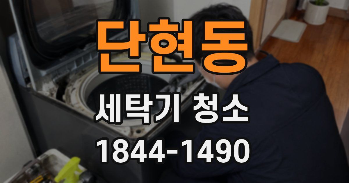 단현동 세탁기 청소