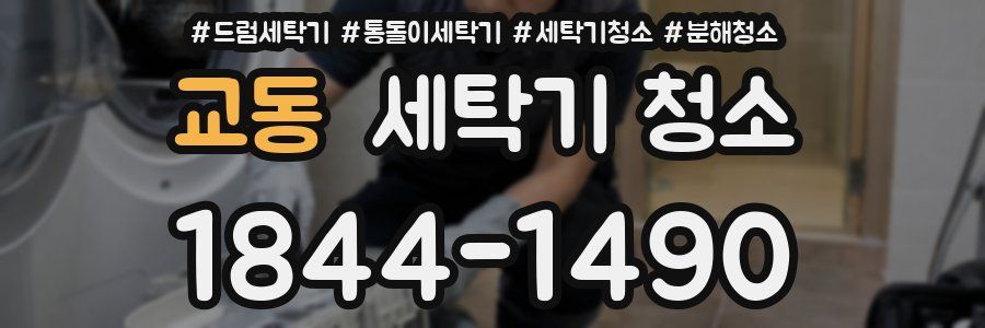 교동 세탁기 청소