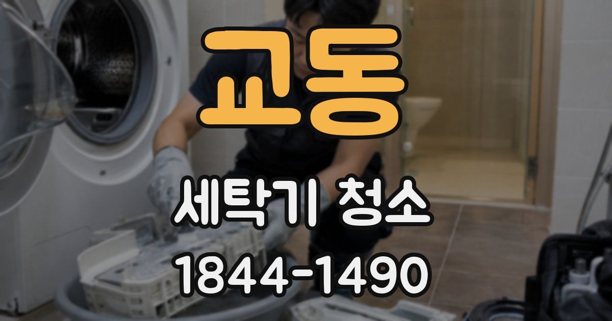교동 세탁기 청소
