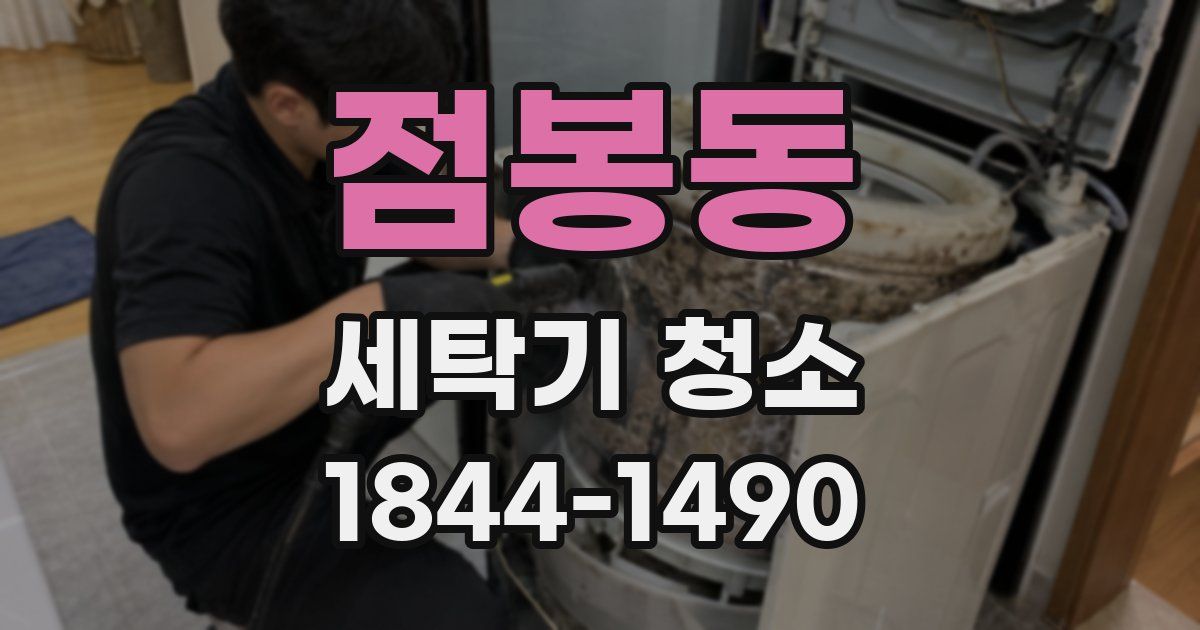 점봉동 세탁기 청소