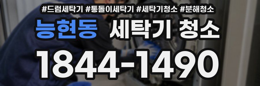 능현동 세탁기 청소