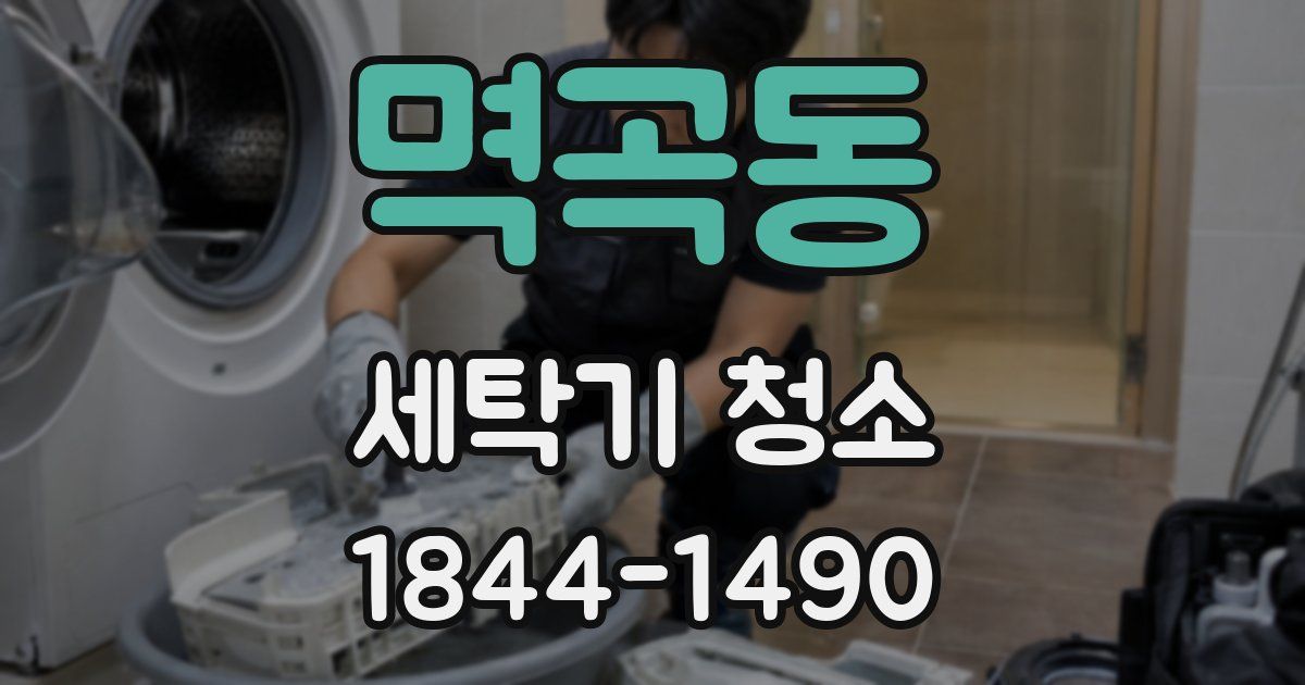 멱곡동 세탁기 청소