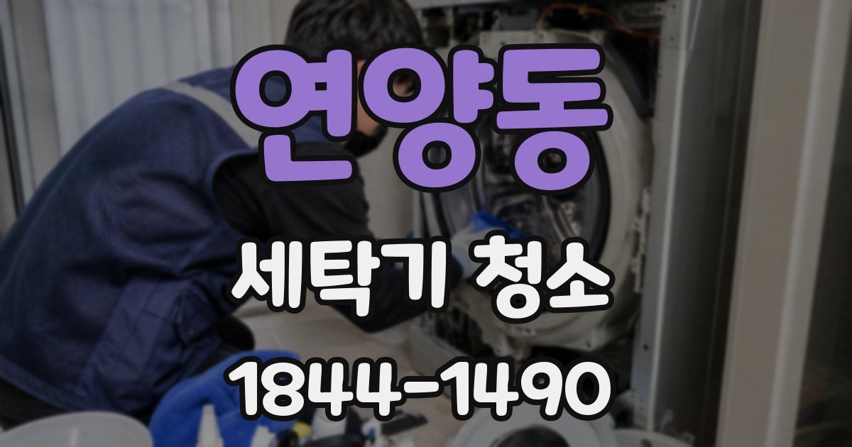 연양동 세탁기 청소