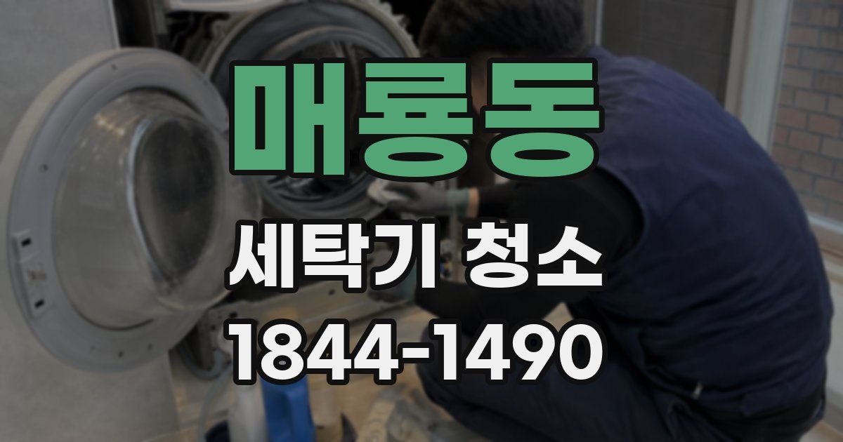 매룡동 세탁기 청소