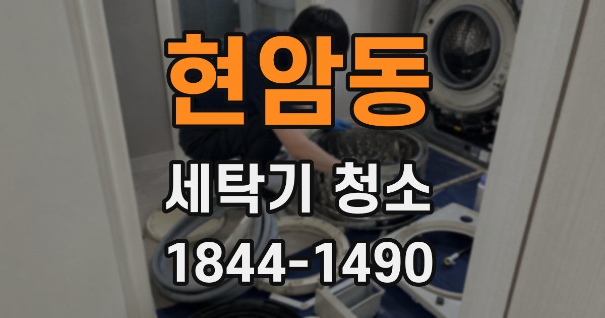 현암동 세탁기 청소
