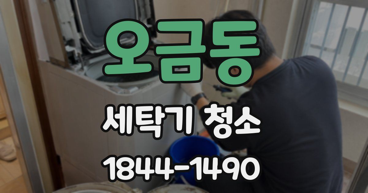 오금동 세탁기 청소