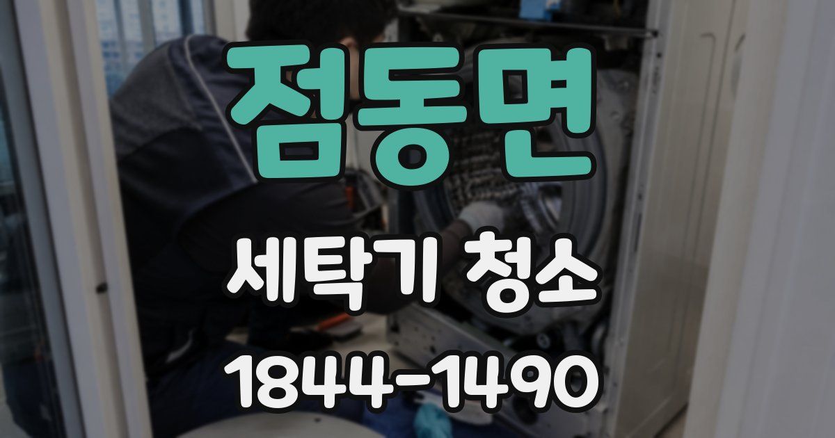 점동면 세탁기 청소