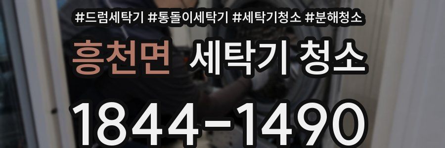 흥천면 세탁기 청소