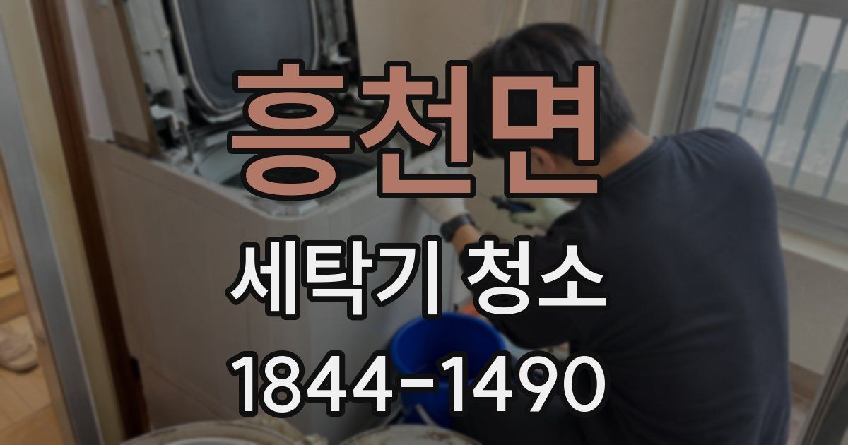 흥천면 세탁기 청소