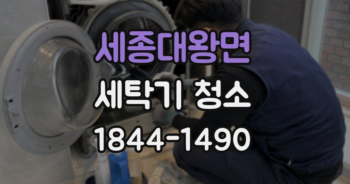 세종대왕면 세탁기 청소