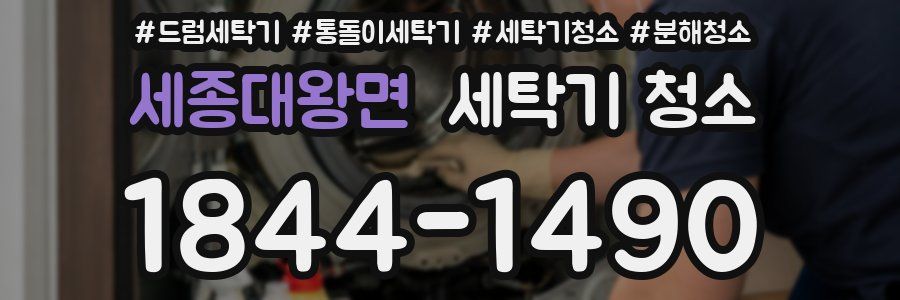 세종대왕면 세탁기 청소