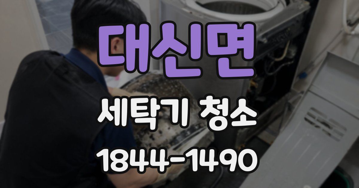 대신면 세탁기 청소