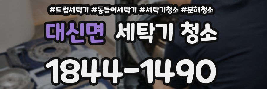 대신면 세탁기 청소