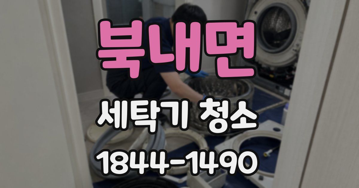 북내면 세탁기 청소