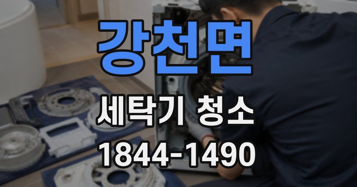 강천면 세탁기 청소