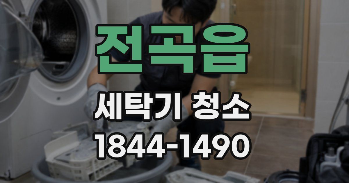 전곡읍 세탁기 청소