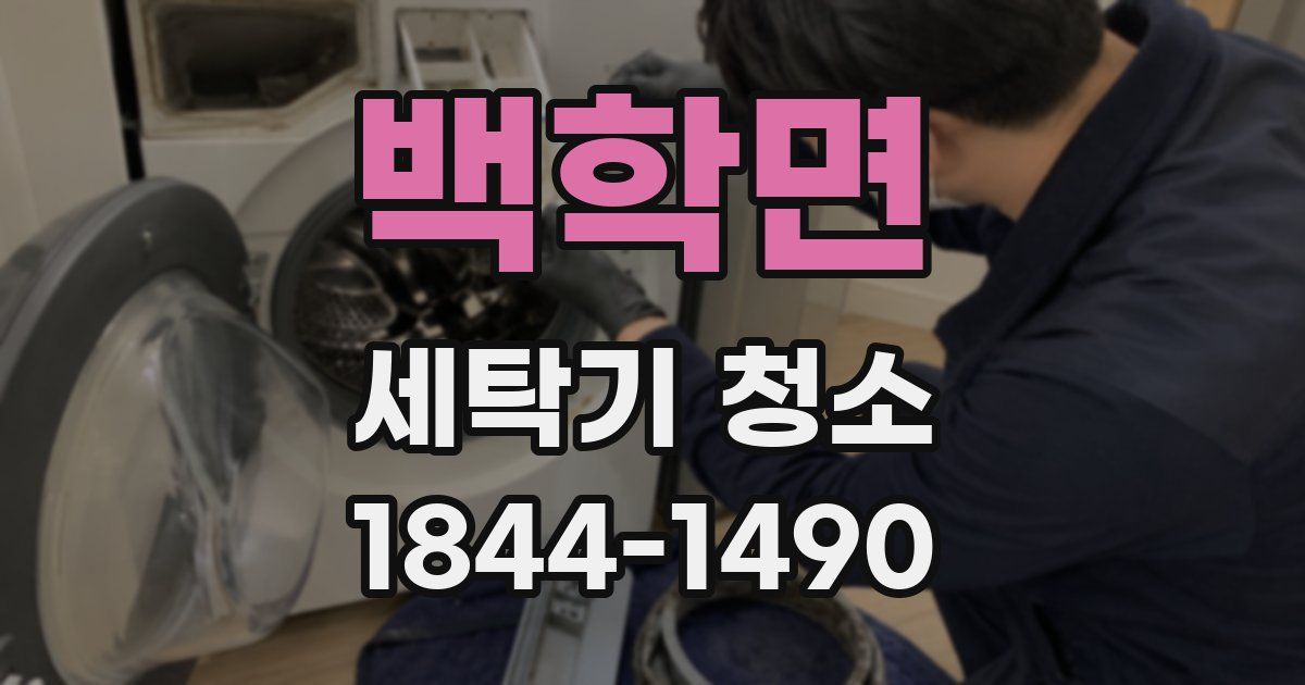 백학면 세탁기 청소