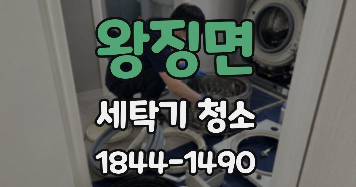 왕징면 세탁기 청소