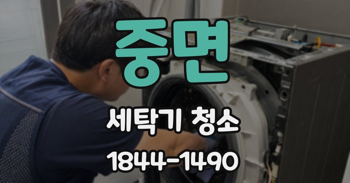 중면 세탁기 청소