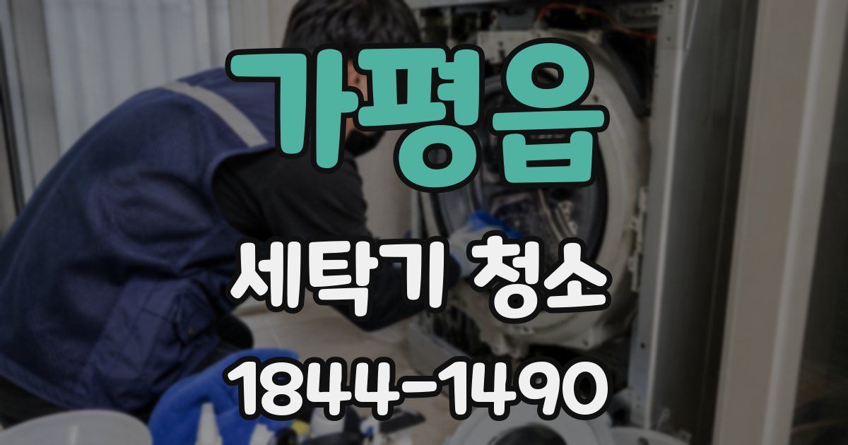 가평읍 세탁기 청소