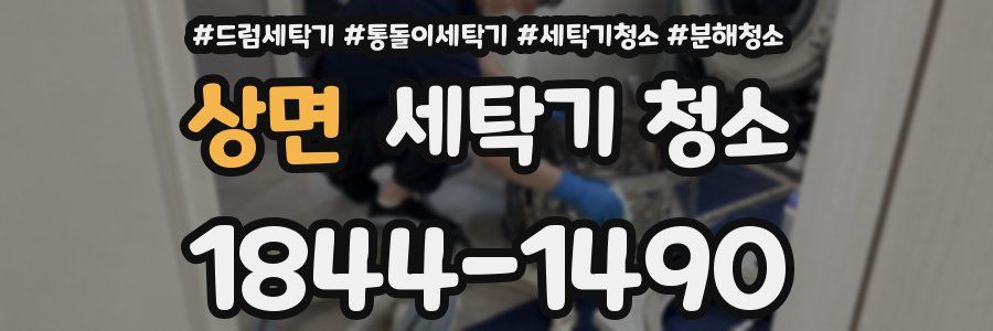 상면 세탁기 청소