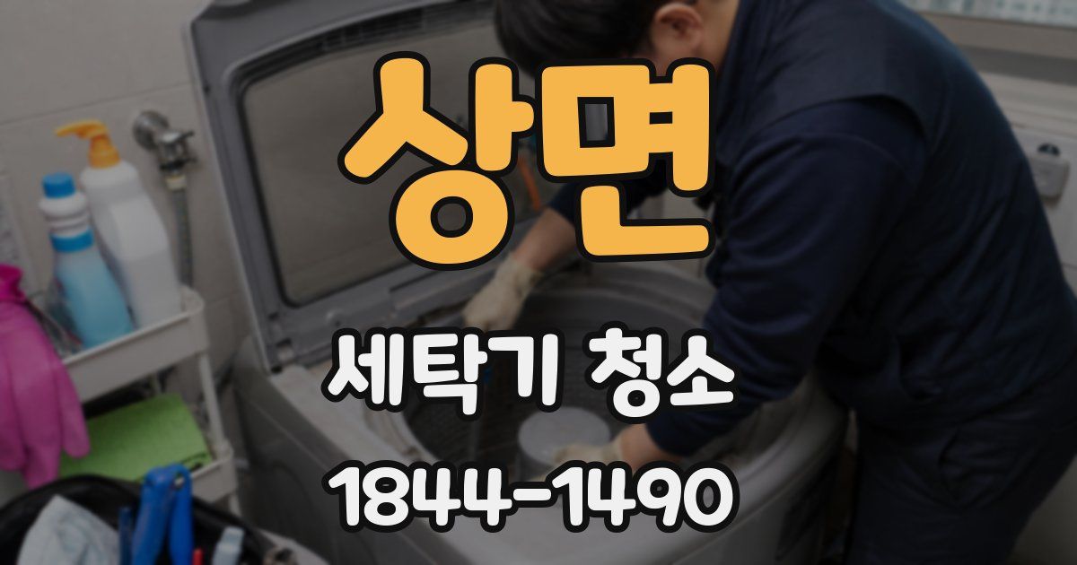 상면 세탁기 청소