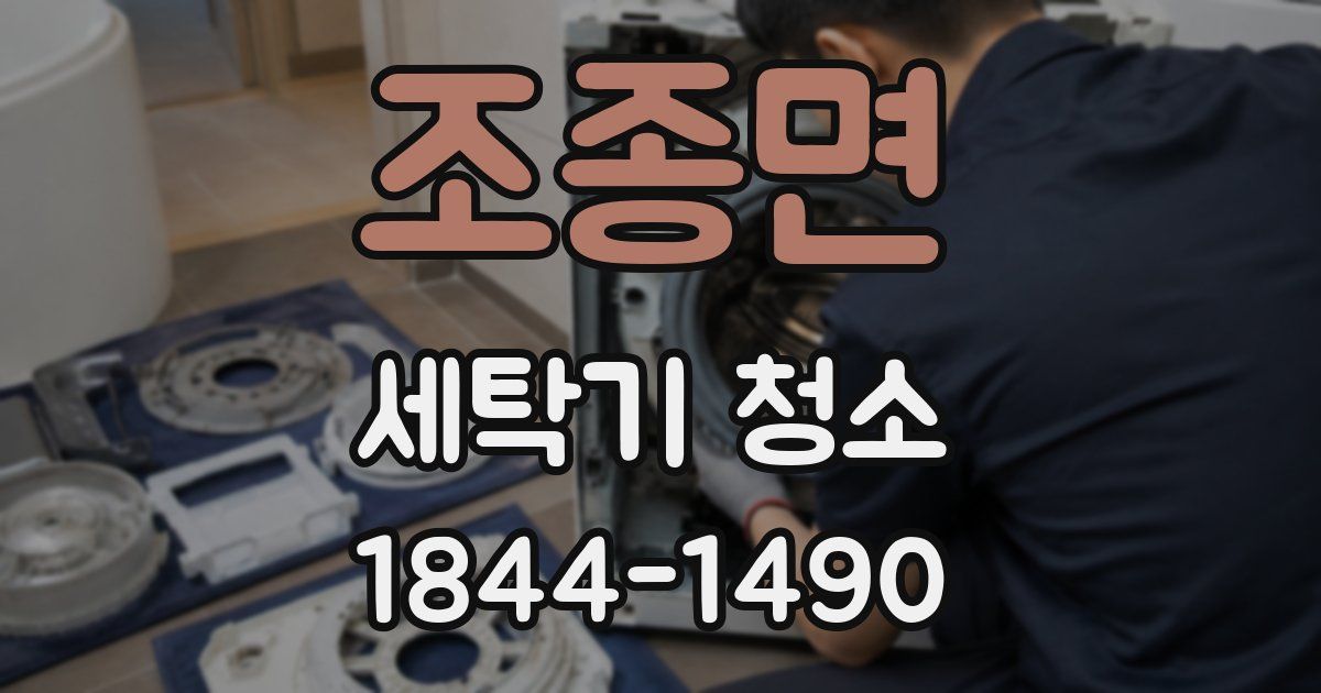 조종면 세탁기 청소