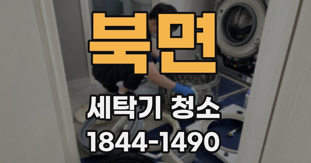 북면 세탁기 청소