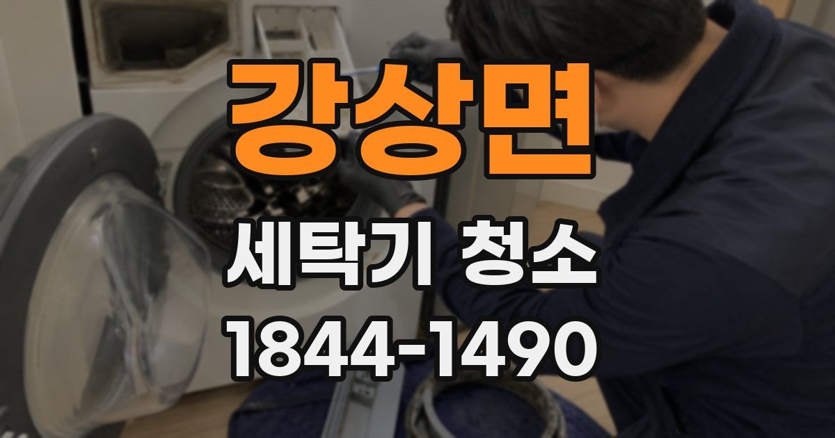 강상면 세탁기 청소