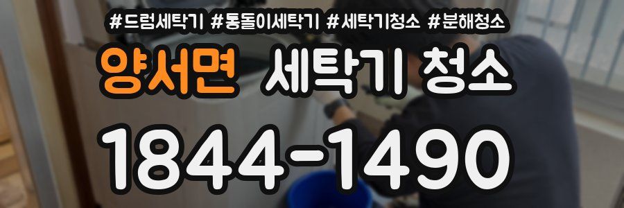 양서면 세탁기 청소