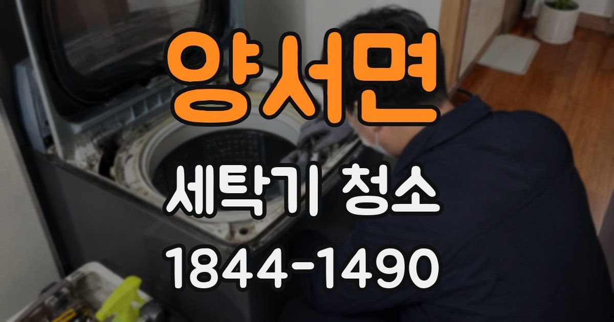 양서면 세탁기 청소