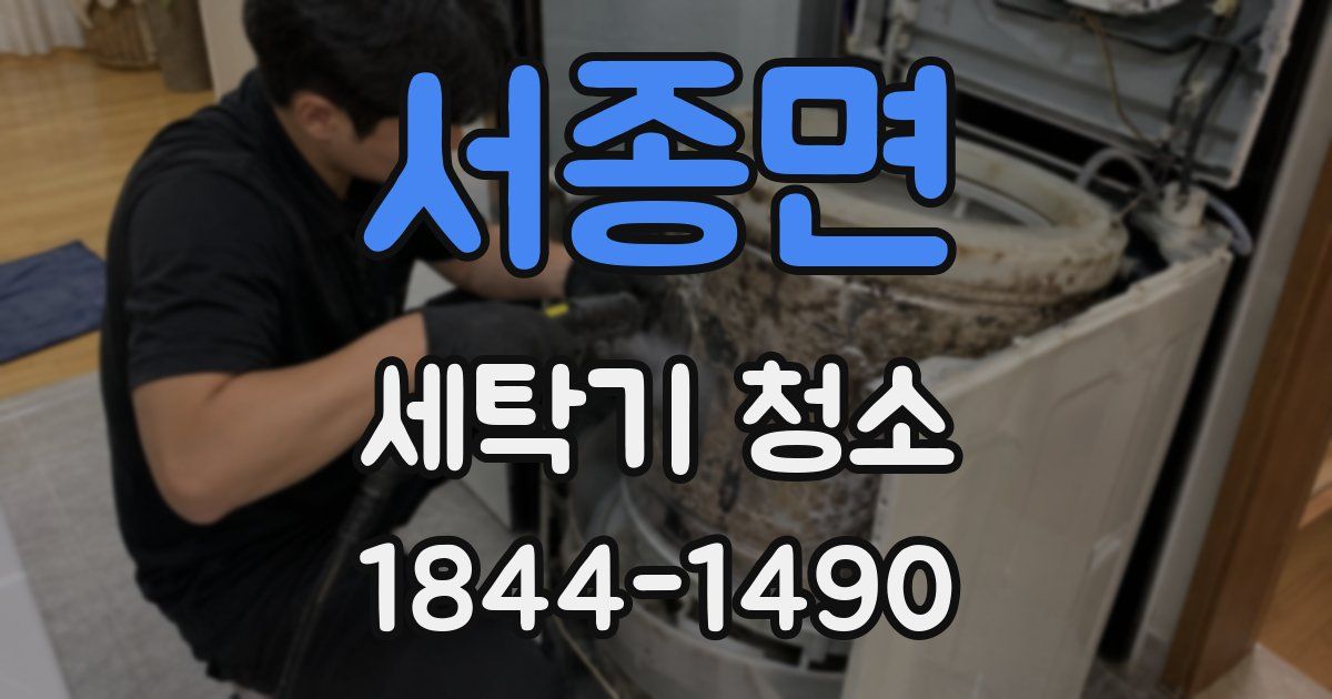서종면 세탁기 청소