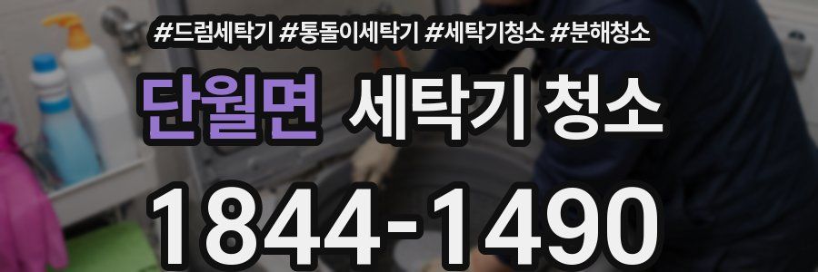 단월면 세탁기 청소