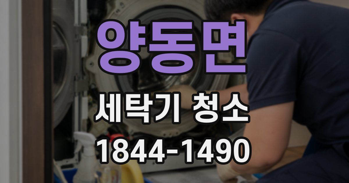 양동면 세탁기 청소