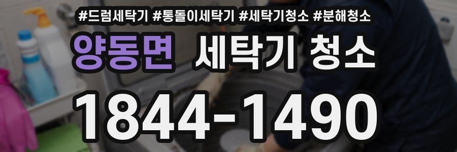 양동면 세탁기 청소