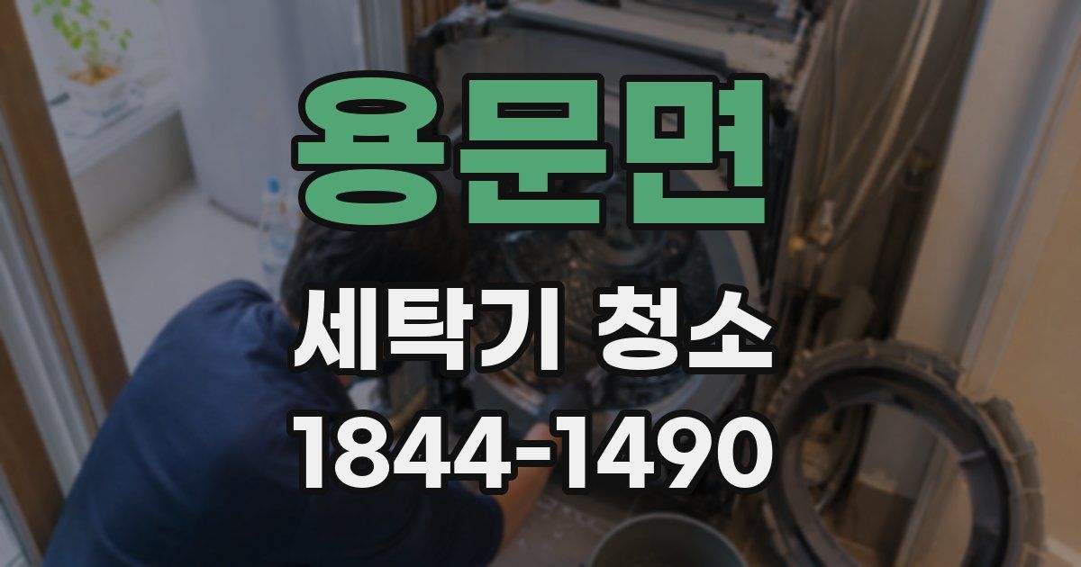 용문면 세탁기 청소