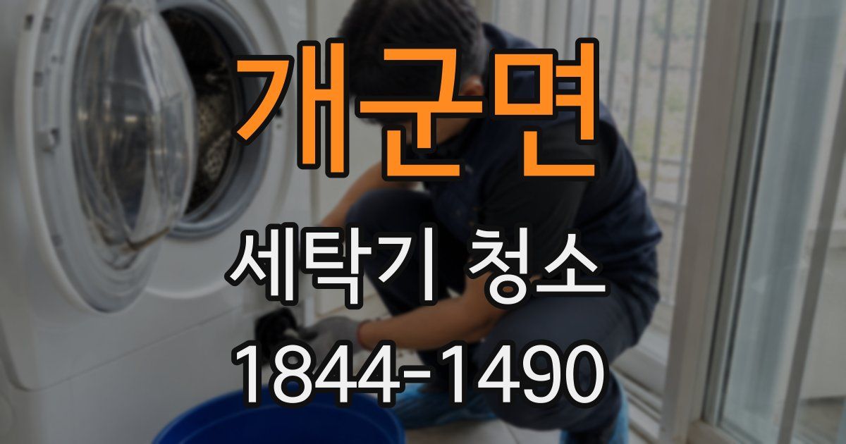 개군면 세탁기 청소