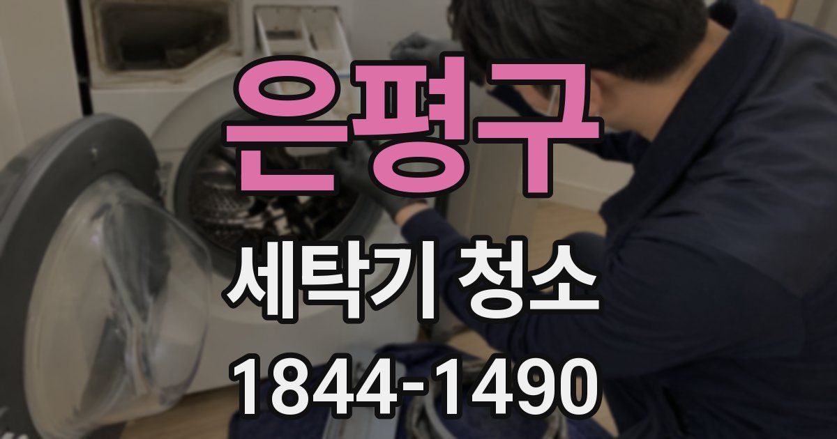 은평구 세탁기 청소