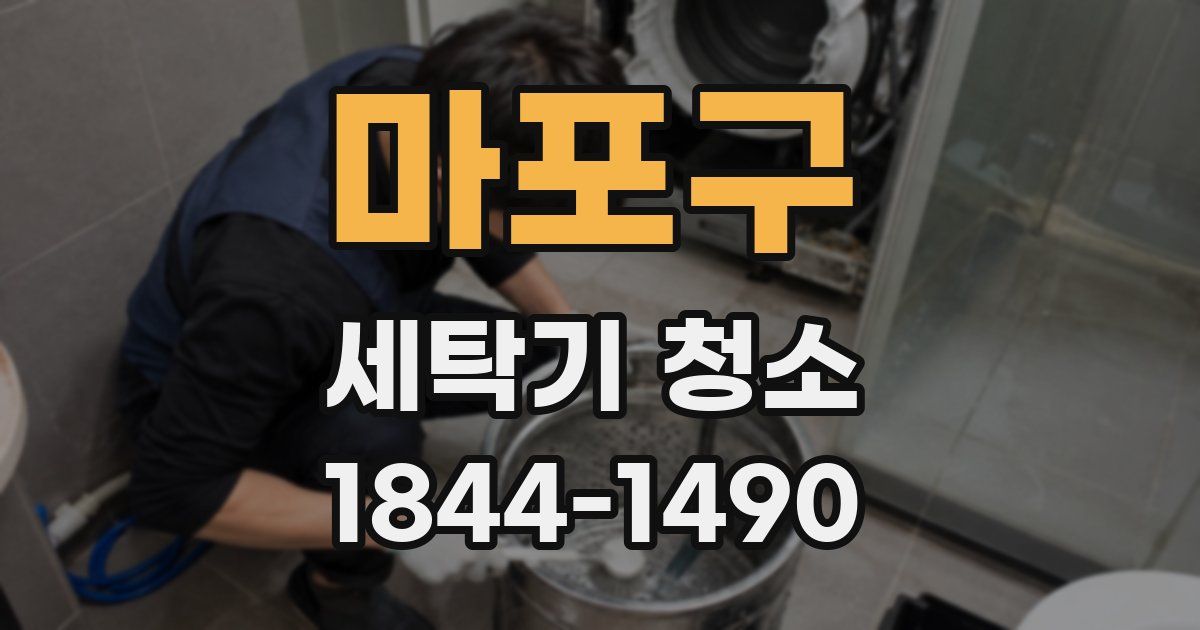 마포구 세탁기 청소