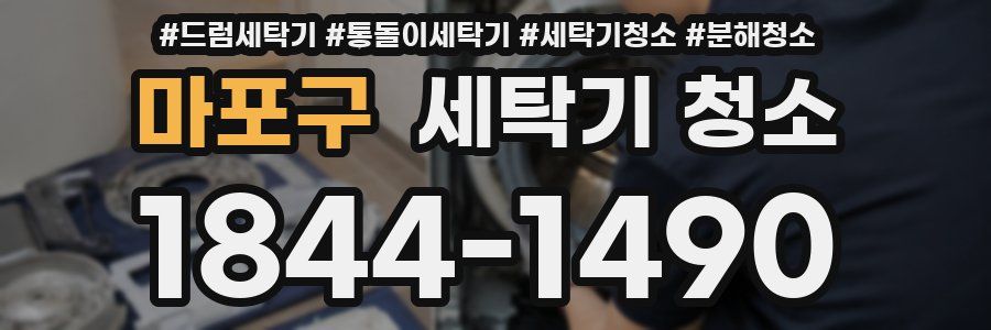 마포구 세탁기 청소