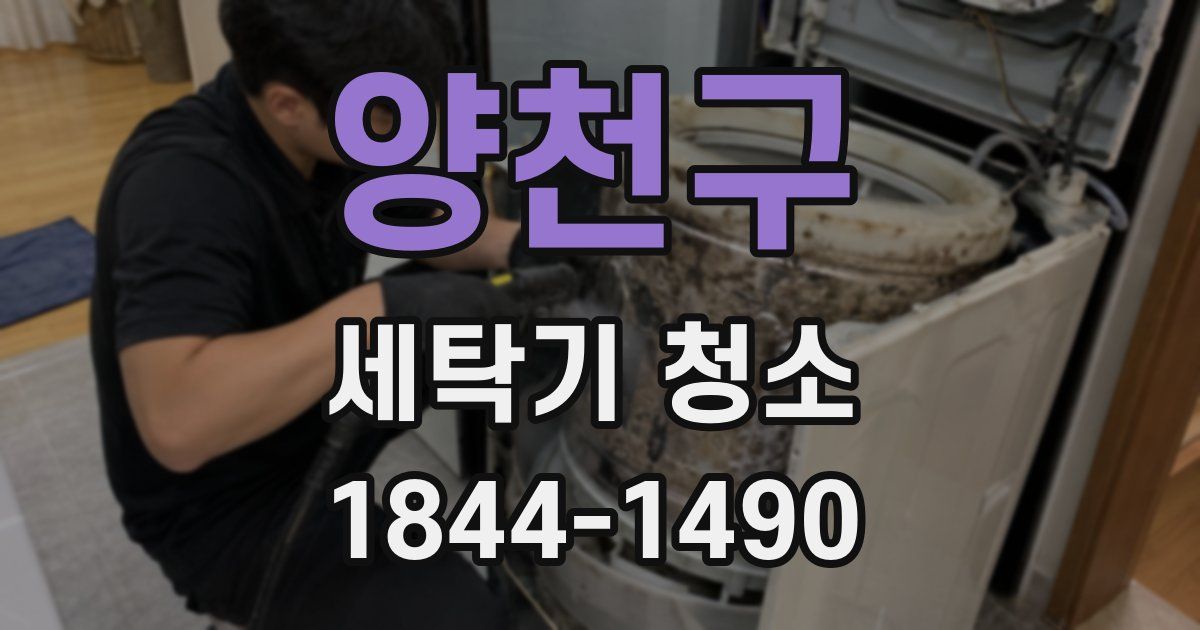 양천구 세탁기 청소