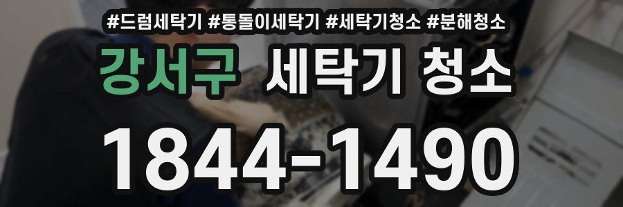 강서구 세탁기 청소